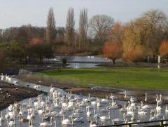 Tudor Caravan Park - View of the reserve at Slimbridge Wetlands Centre